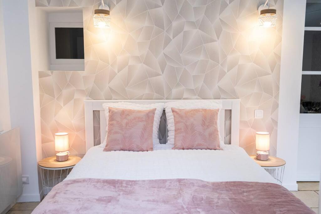 Appartement Renove - Wifi - Jardin - Centre De Niort Bagian luar foto